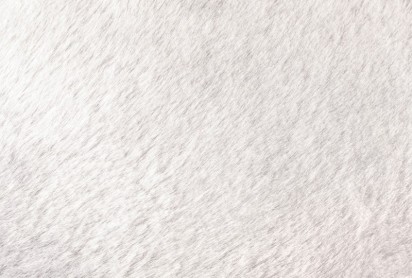 Peluş Halı Yıkama